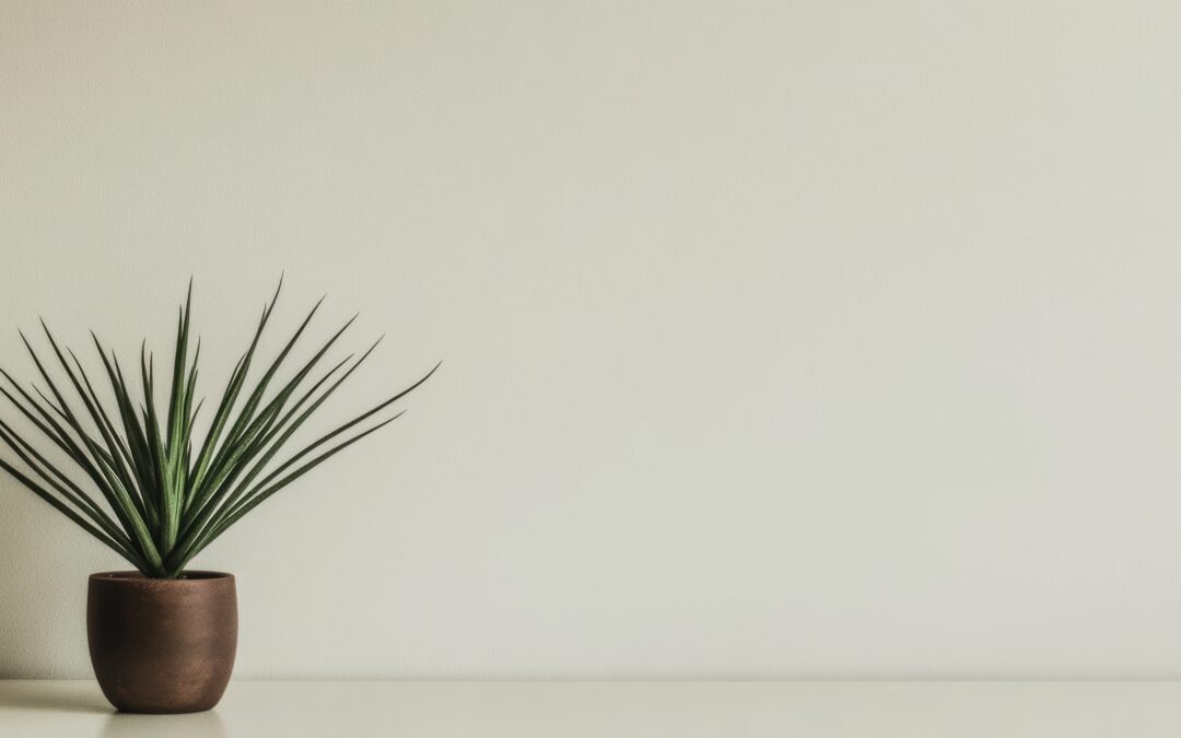 Discover Simplicity with Minimalist Interior Design