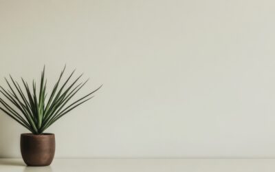 Discover Simplicity with Minimalist Interior Design